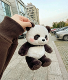 User picture 6